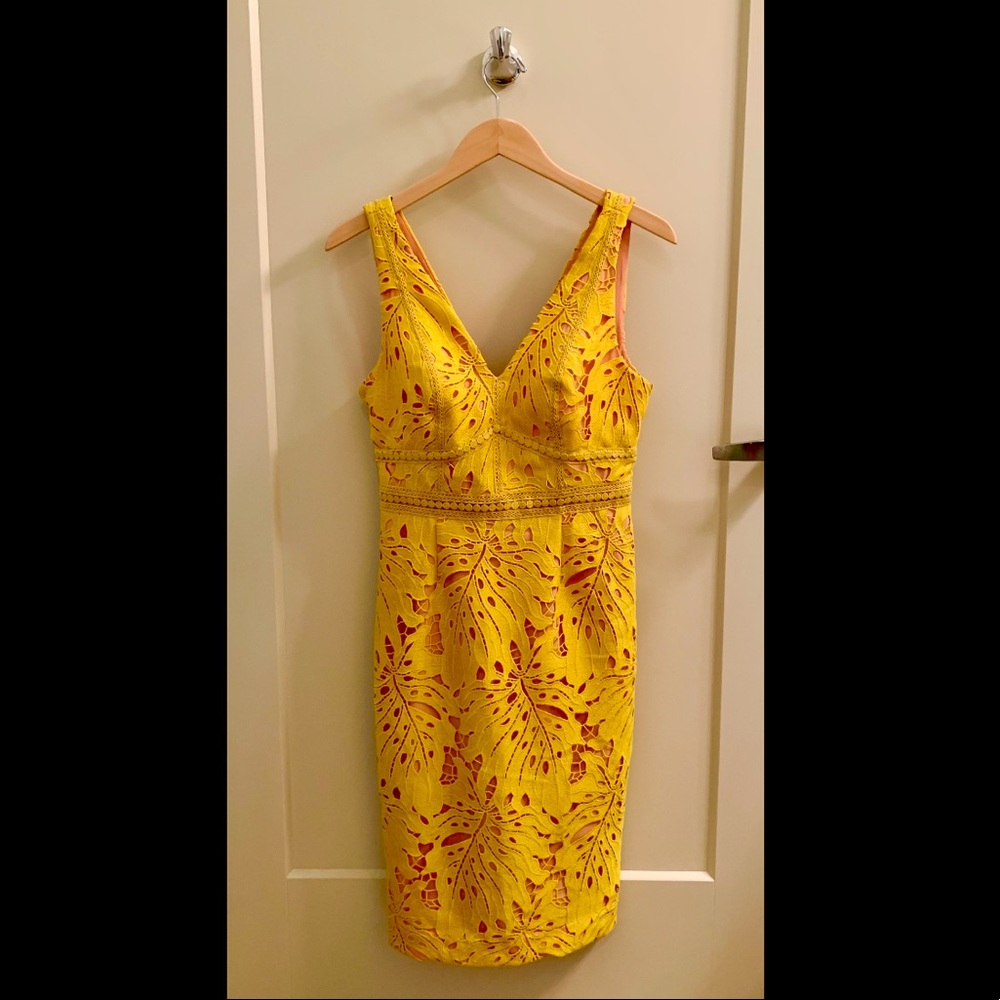 Maeve Gardenia Lace Column Sheath Dress